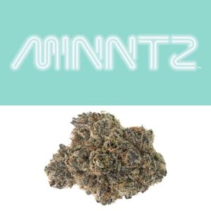 animal mintz strain