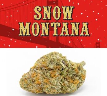 Snow Montana