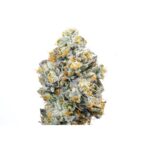 baklava strain