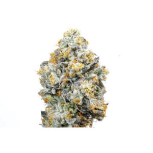 baklava strain