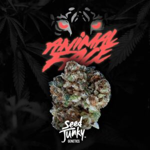 Animal Face strain