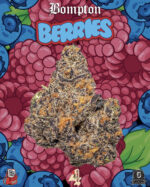 Buy Bompton Berries Strain by 4Hunnid Flowers & Backpackboyz