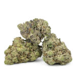 Buy PuzZzy Power Cookies Weed Strain by PowerzzzUp