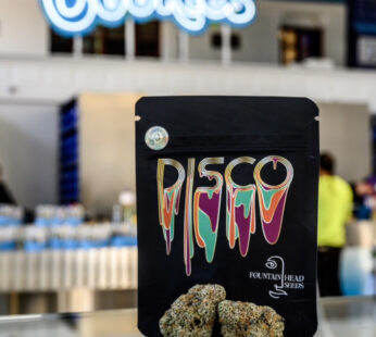 Disco Strain