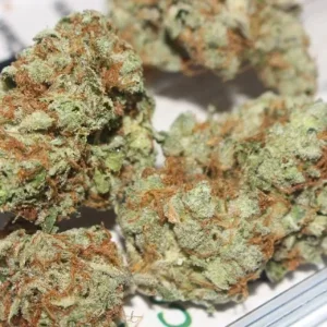 Buy Ice Spice Munch Runtz Weed Strain by D2 Plug