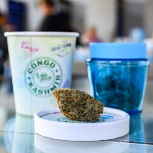 Congo Kashmir Strain