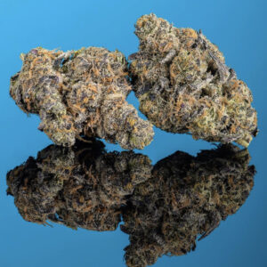 Girl Scout Cookies Weed Strain For Sale