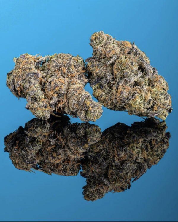 Girl Scout Cookies Weed Strain For Sale