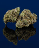 Where to Buy Blue Razz Weed Strain Online Today.