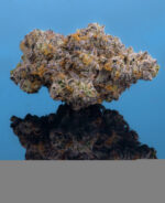 Blue Donut Weed by Traditional Near Me