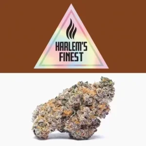 Buy Branson Harlem's Finest Strain | Tikel Pot Shop | Harlem's Finest Weed | Harlem by Branson