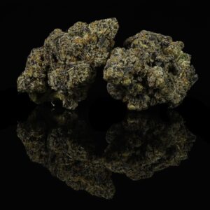 Hollywood OG Cookies Strain | Buy Cookies Hollywood Strain