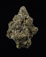 Where to Buy Sticky Ricky Strain | Why you should Buy Sticky Ricky Cookies Weed Strain