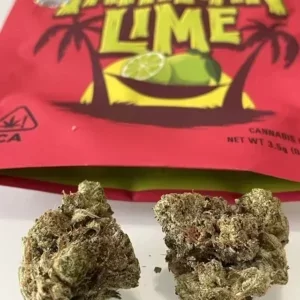 Where to Buy Tahitian Lime by Lemonade Near Me | Buy Tahitian Lime Weed Strain Lemonade