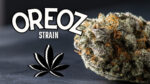 Oreo Cookie Weed Strain | Oreoz Cookie Weed | Oreoz Cookies Marijuana Strain