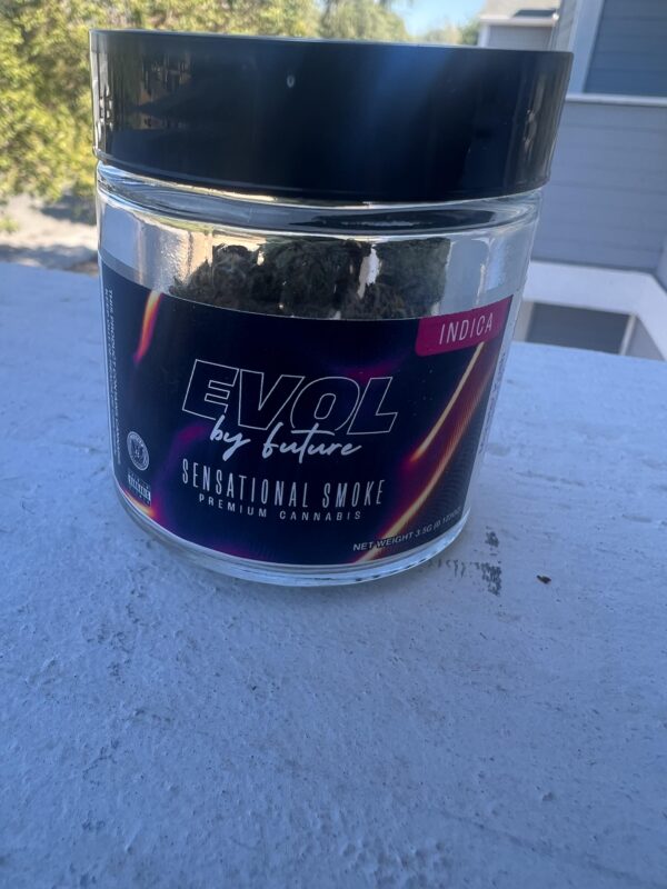 Buy Evol by Future Strain | Evol by Future | Monster Kush Redwood Cultivation