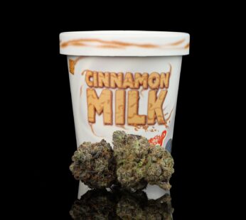 Cinnamon Milk 🥛 {Cereal á la Mode X Sherb Z #1}