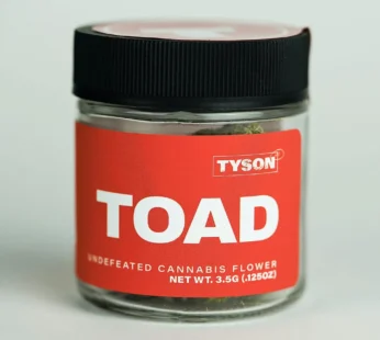 Tyson 2.0 – Desert & Intergalactic Toad