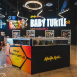 Baby Turtle Strain | Khalifa Kush | Khalifa Kush Baby Turtle 